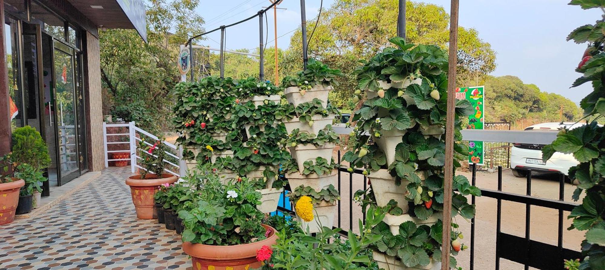 Mahābaleshwar Woodland Farm Vila מראה חיצוני תמונה